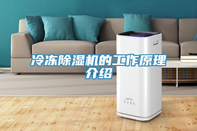 冷凍小黄片软件免费下载的工作原理介紹