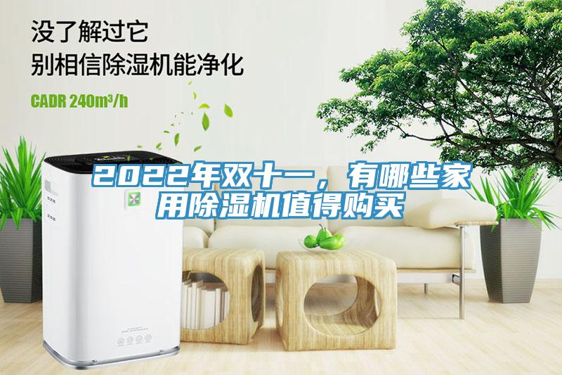 2022年雙十一，有哪些家用小黄片软件免费下载值得購買