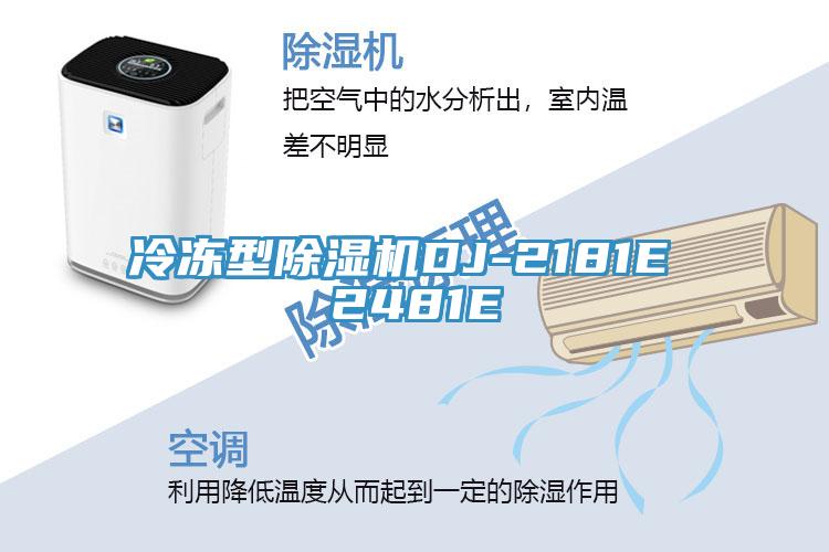冷凍型小黄片软件免费下载DJ-2181E 2481E