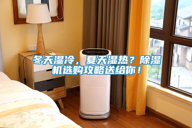 冬天濕冷，夏天濕熱？小黄片软件免费下载選購攻略送給你！