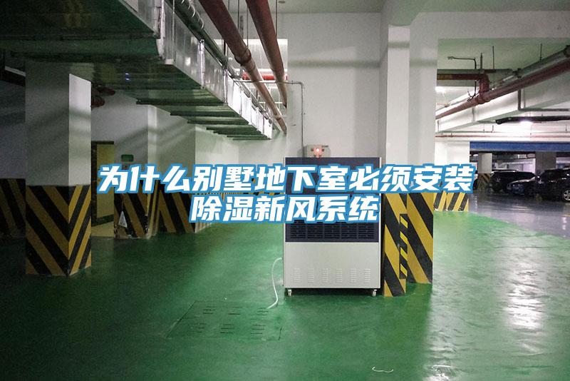 為什麽別墅地下室必須安裝除濕新風係統