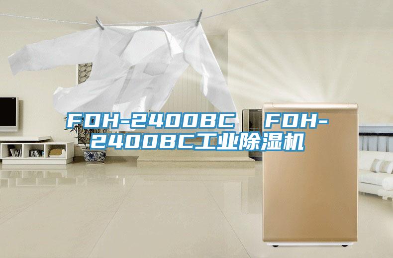 FDH-2400BC  FDH-2400BC工業小黄片软件免费下载