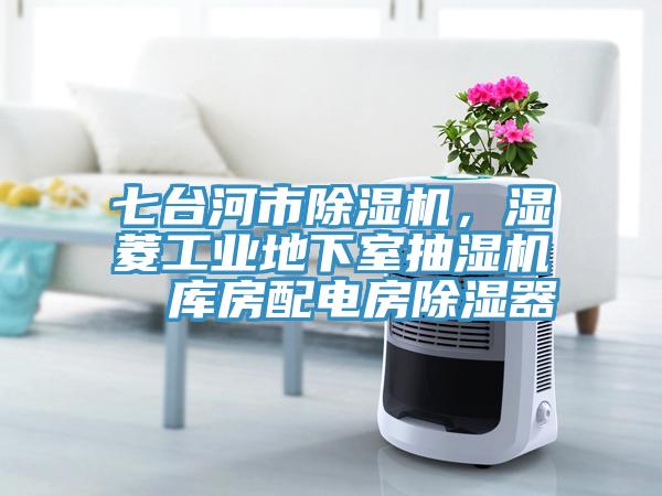七台河市小黄片软件免费下载，濕菱工業地下室抽濕機  庫房配電房除濕器