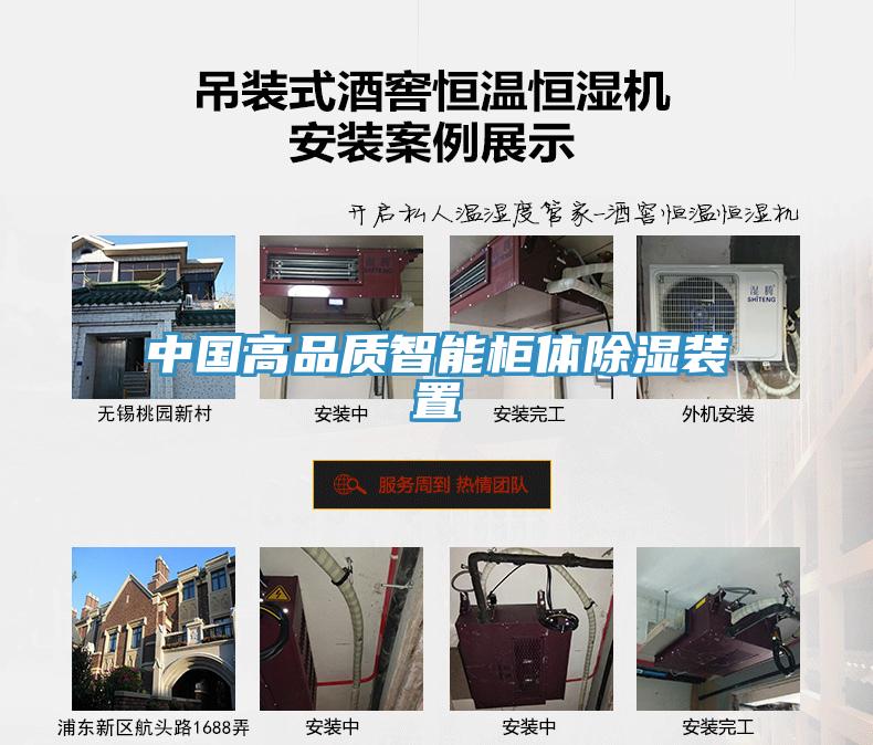 中國高品質智能櫃體除濕裝置