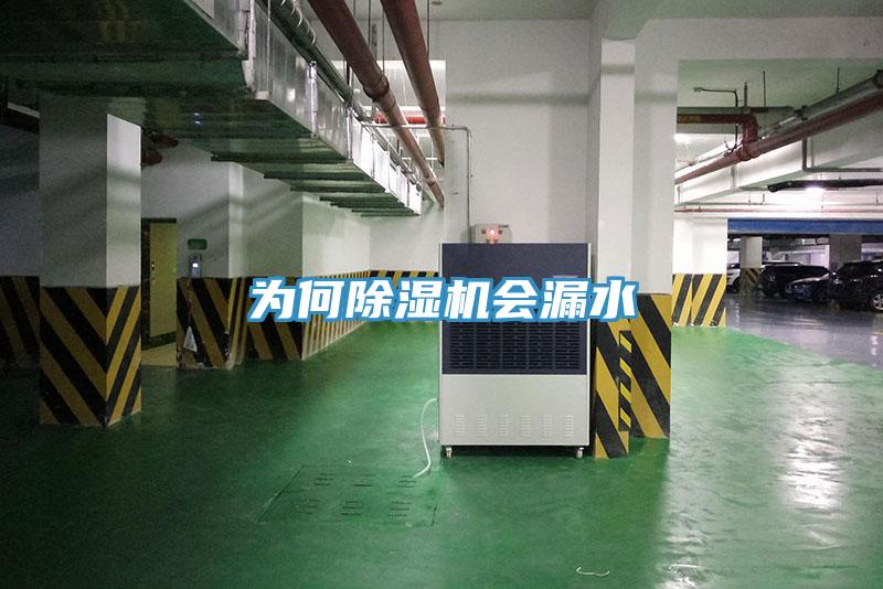 為何小黄片软件免费下载會漏水