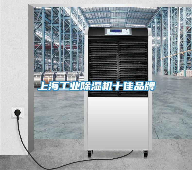 上海工業小黄片软件免费下载十佳品牌