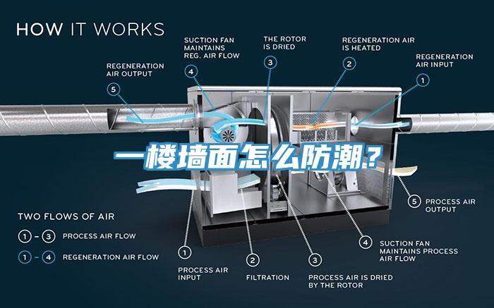 一樓牆麵怎麽防潮？