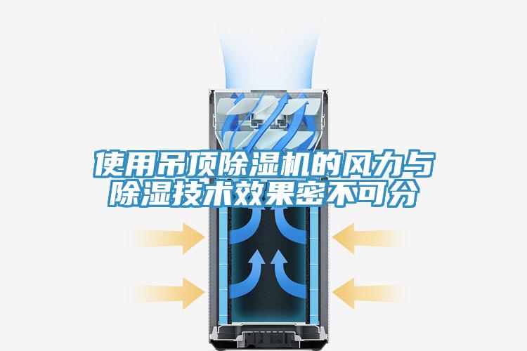 使用吊頂小黄片软件免费下载的風力與除濕技術效果密不可分
