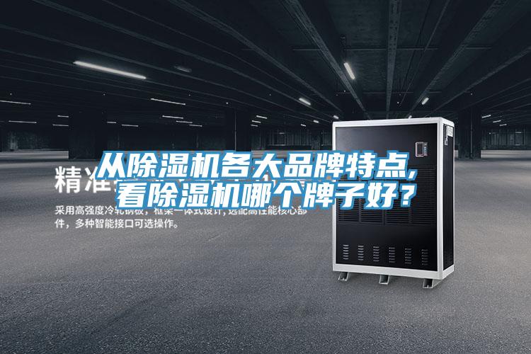 從小黄片软件免费下载各大品牌特點, 看小黄片软件免费下载哪個牌子好？