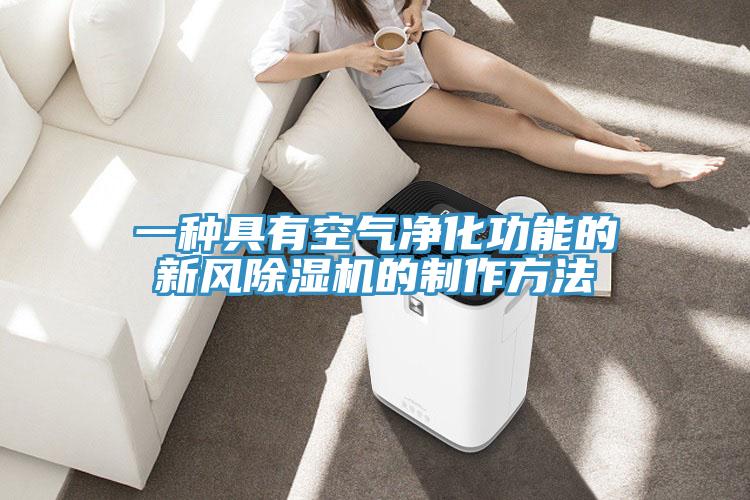 一種具有空氣淨化功能的新風小黄片软件免费下载的製作方法