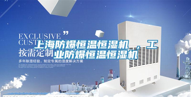 上海防爆恒溫恒濕機 ，工業防爆恒溫恒濕機