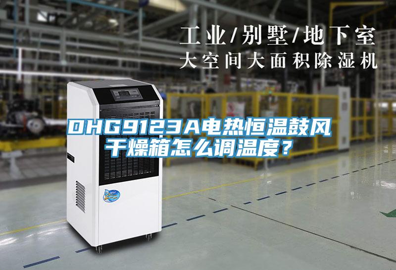 DHG9123A電熱恒溫鼓風幹燥箱怎麽調溫度？