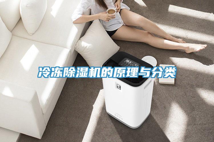 冷凍小黄片软件免费下载的原理與分類