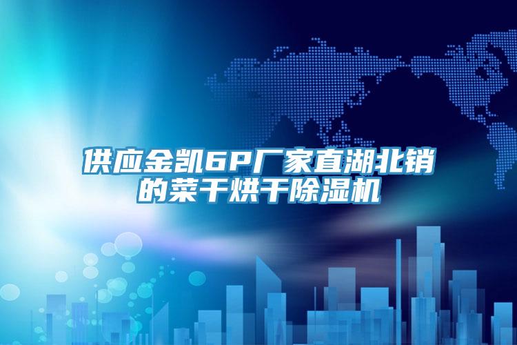 供應金凱6P廠家直湖北銷的菜幹烘幹小黄片软件免费下载