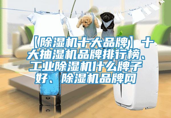 【小黄片软件免费下载十大品牌】十大抽濕機品牌排行榜、工業小黄片软件免费下载什麽牌子好、小黄片软件免费下载品牌網