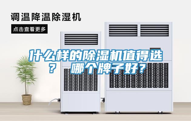 什麽樣的小黄片软件免费下载值得選？ 哪個牌子好？