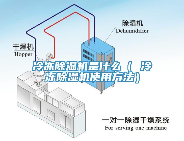 冷凍小黄片软件免费下载是什麽（ 冷凍小黄片软件免费下载使用方法）