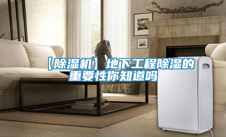 【小黄片软件免费下载】地下工程除濕的重要性你知道嗎
