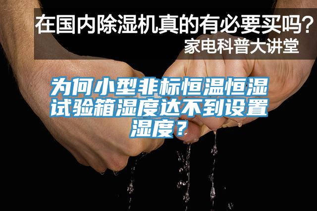 為何小型非標恒溫恒濕試驗箱濕度達不到設置濕度？