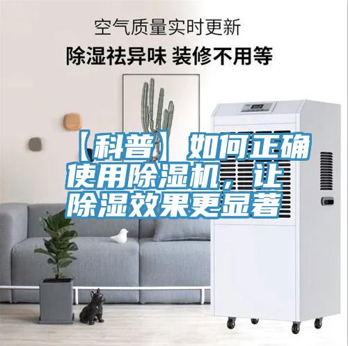 【科普】如何正確使用小黄片软件免费下载，讓除濕效果更顯著