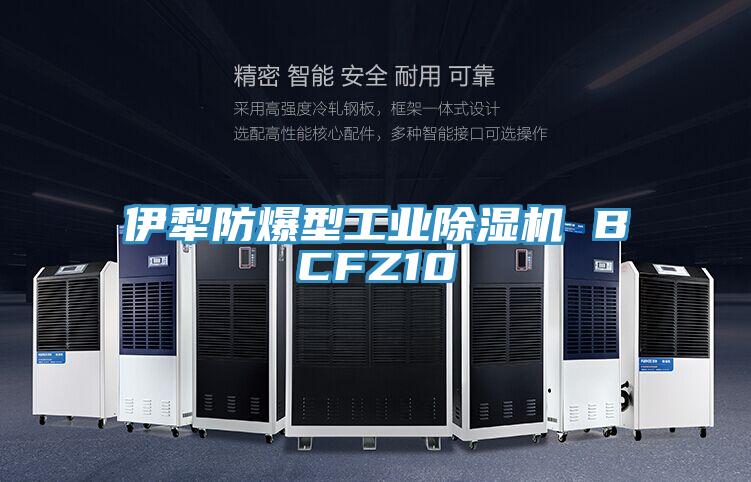 伊犁防爆型工業小黄片软件免费下载 BCFZ10