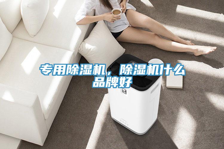 專用小黄片软件免费下载，小黄片软件免费下载什麽品牌好