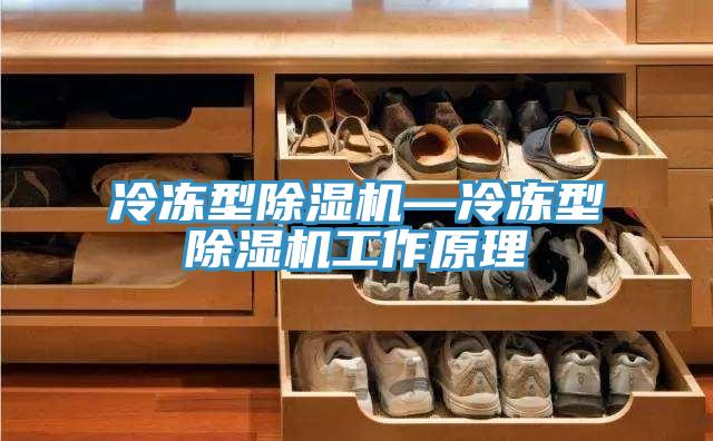 冷凍型小黄片软件免费下载—冷凍型小黄片软件免费下载工作原理