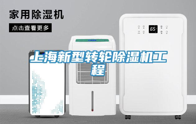 上海新型轉輪小黄片软件免费下载工程