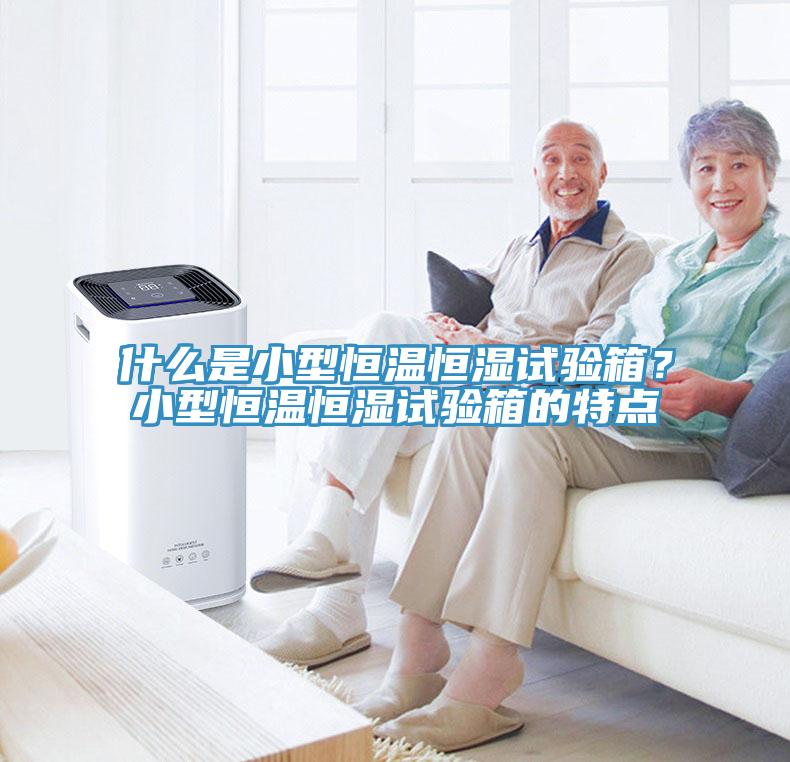 什麽是小型恒溫恒濕試驗箱？小型恒溫恒濕試驗箱的特點