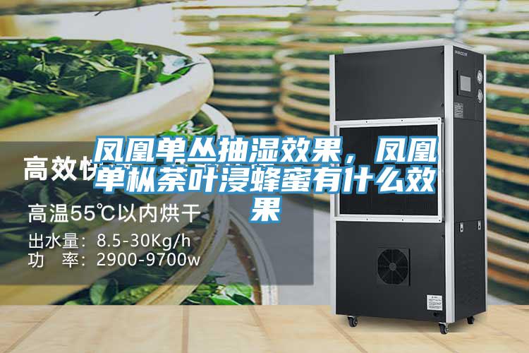 鳳凰單叢抽濕效果，鳳凰單樅荼葉浸蜂蜜有什麽效果