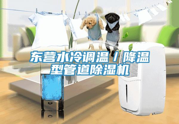 東營水冷調溫／降溫型管道小黄片软件免费下载