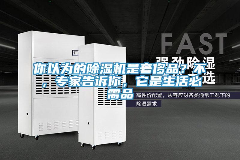 你以為的小黄片软件免费下载是奢侈品？不，專家告訴你，它是生活必需品