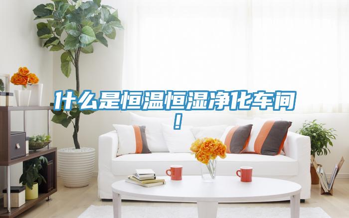 什麽是恒溫恒濕淨化車間！