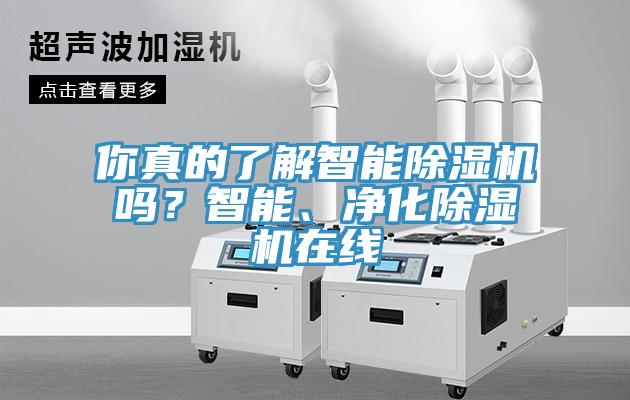 你真的了解智能小黄片软件免费下载嗎？智能、淨化小黄片软件免费下载在線