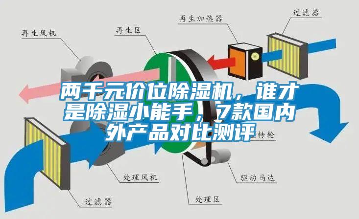兩千元價位小黄片软件免费下载，誰才是除濕小能手，7款國內外產品對比測評