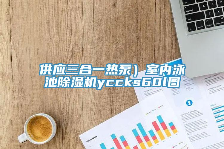 供應三合一熱泵）室內泳池小黄片软件免费下载yccks60l圖