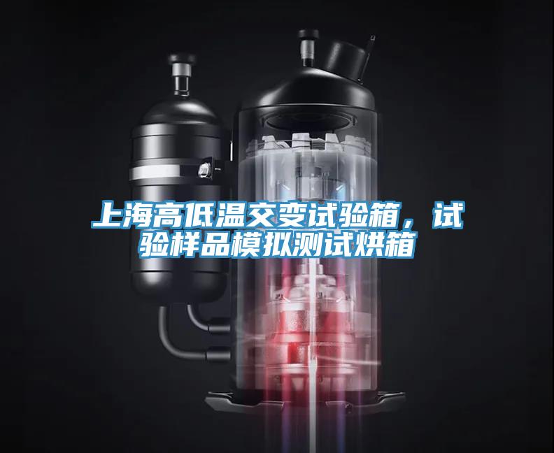 上海高低溫交變試驗箱，試驗樣品模擬測試烘箱
