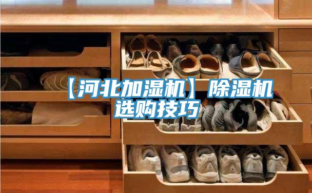 【河北加濕機】小黄片软件免费下载選購技巧