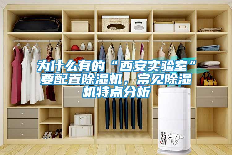 為什麽有的“西安實驗室”要配置小黄片软件免费下载，常見小黄片软件免费下载特點分析