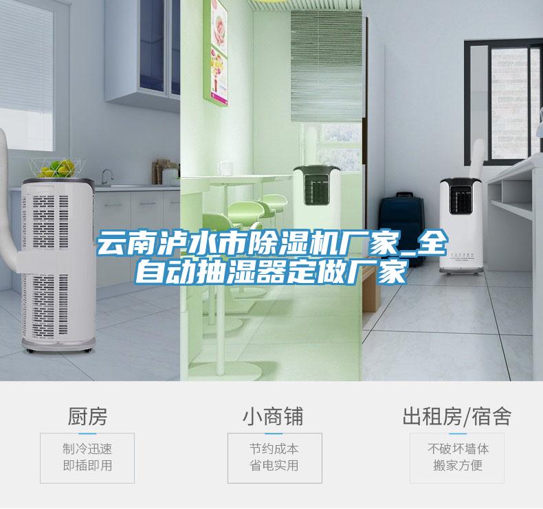 雲南瀘水市小黄片软件免费下载廠家_全自動抽濕器定做廠家