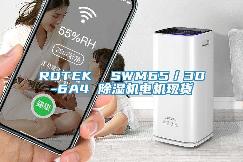 ROTEK  SWM65／30-6A4 小黄片软件免费下载電機現貨
