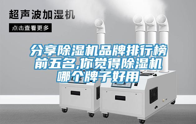 分享小黄片软件免费下载品牌排行榜前五名,你覺得小黄片软件免费下载哪個牌子好用
