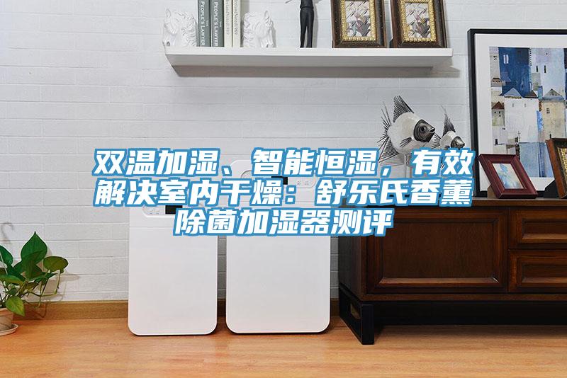 雙溫加濕、智能恒濕，有效解決室內幹燥：舒樂氏香薰除菌加濕器測評