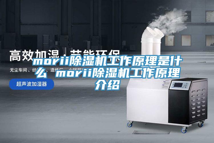 morii小黄片软件免费下载工作原理是什麽 morii小黄片软件免费下载工作原理介紹