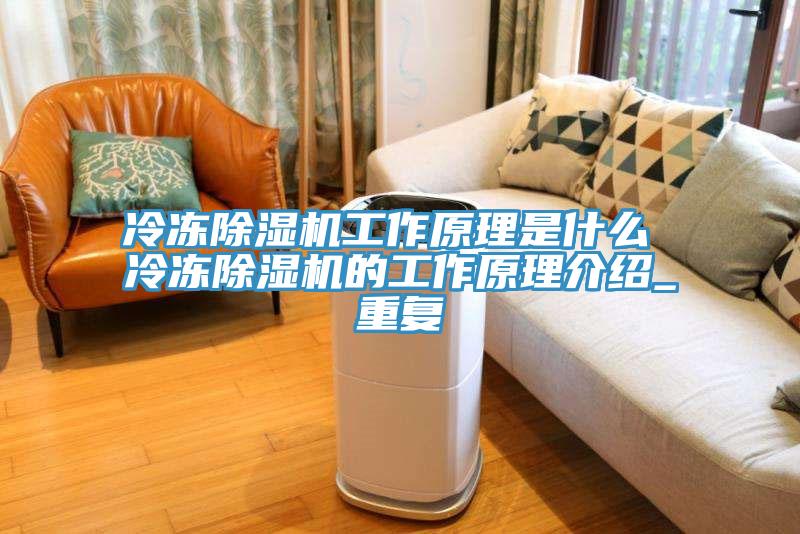 冷凍小黄片软件免费下载工作原理是什麽 冷凍小黄片软件免费下载的工作原理介紹_重複