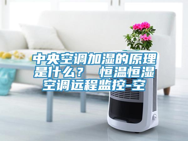 中央空調加濕的原理是什麽？ 恒溫恒濕空調遠程監控-空