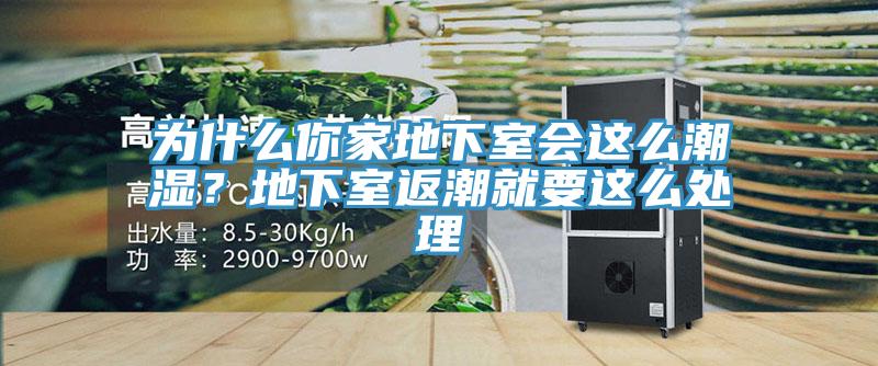 為什麽你家地下室會這麽潮濕？地下室返潮就要這麽處理