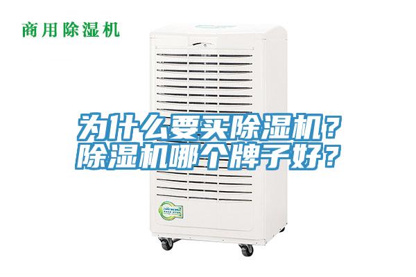 為什麽要買小黄片软件免费下载？小黄片软件免费下载哪個牌子好？