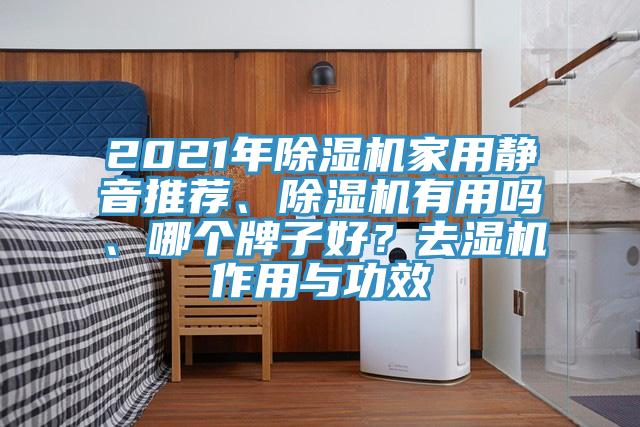 2021年小黄片软件免费下载家用靜音推薦、小黄片软件免费下载有用嗎、哪個牌子好？去濕機作用與功效