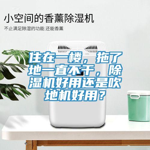 住在一樓，拖了地一直不幹，小黄片软件免费下载好用還是吹地機好用？